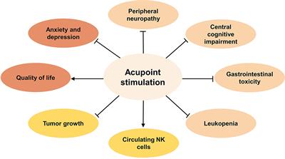 Clinical Efficacy and Potential Mechanisms of Acupoint Stimulation Combined With Chemotherapy in Combating Cancer: A Review and Prospects